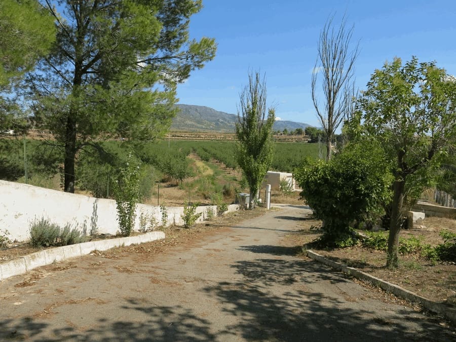 6 bedroom Finca/Country House for sale in Pinoso with pool - € 500,000 (Ref: 4878057)