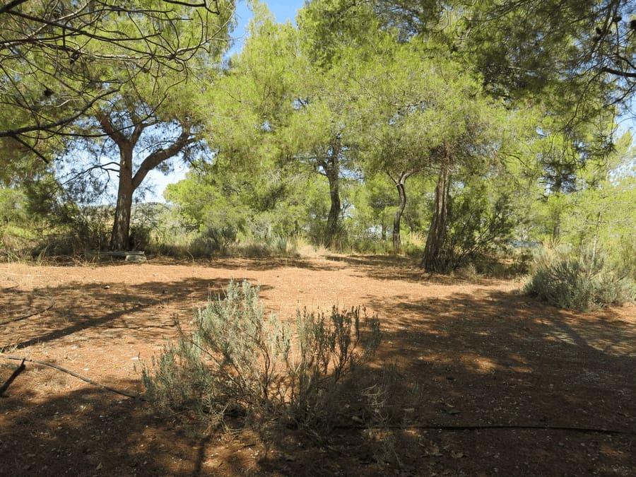 6 bedroom Finca/Country House for sale in Pinoso with pool - € 500,000 (Ref: 4878057)