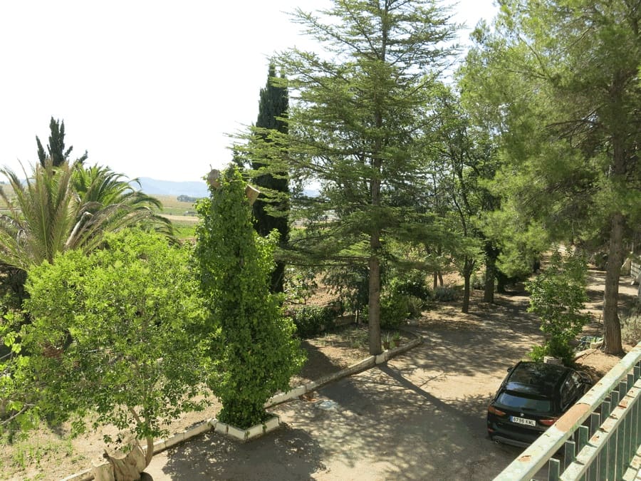 6 bedroom Finca/Country House for sale in Pinoso with pool - € 500,000 (Ref: 4878057)