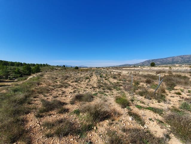 Mark till salu i Lel, Pinoso - 50 000 € (Ref: 4878080)