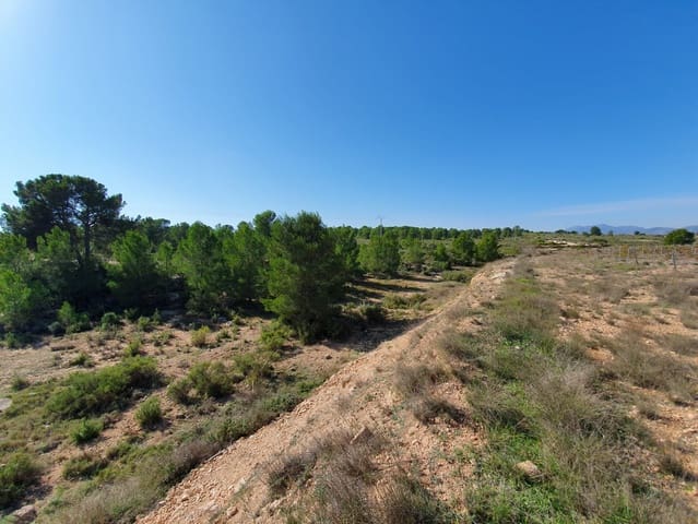 Mark till salu i Lel, Pinoso - 50 000 € (Ref: 4878080)