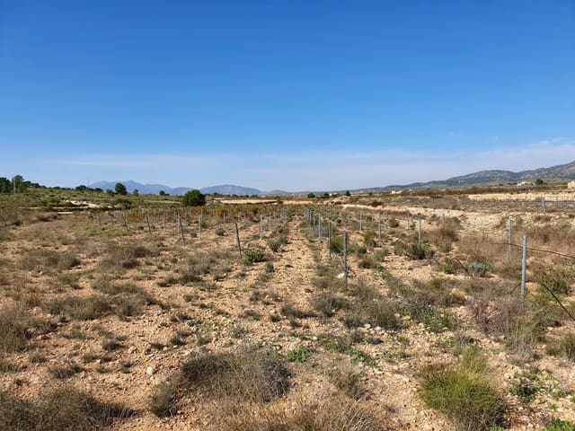 Grond te koop in Lel, Pinoso - € 50.000 (Ref: 4878080)
