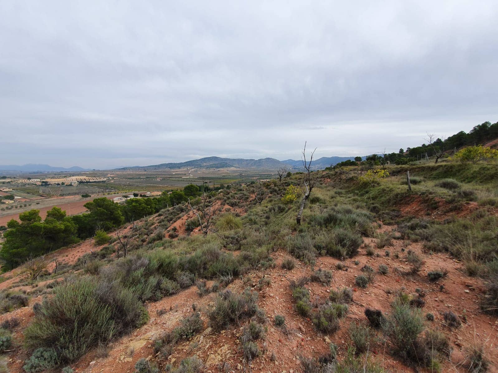 Undeveloped Land for sale in Pinoso - € 65,000 (Ref: 4878081)