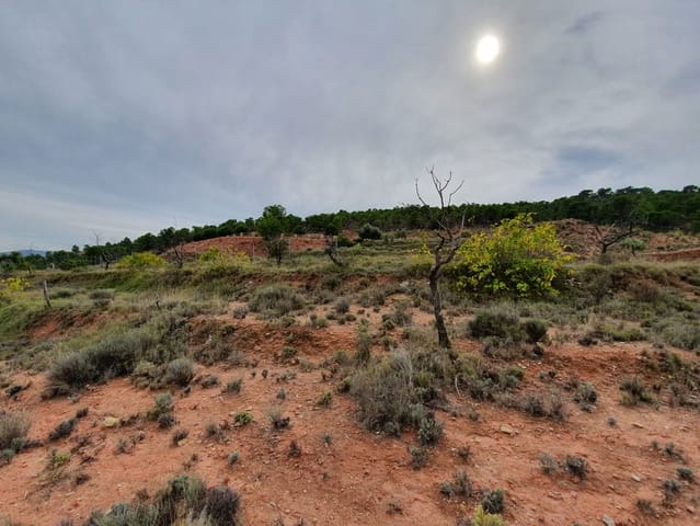 Rakentamaton maa myytävänä paikassa Pinoso - 65 000 € (Ref: 4878081)