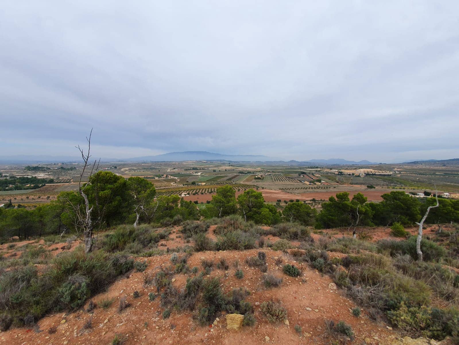 Undeveloped Land for sale in Pinoso - € 65,000 (Ref: 4878081)