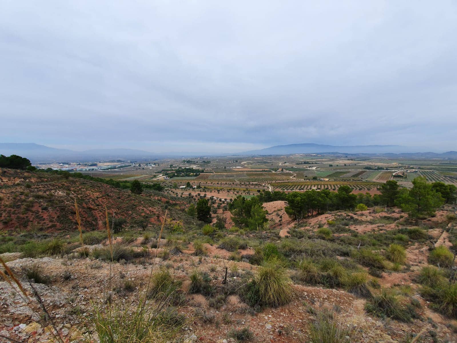 Undeveloped Land for sale in Pinoso - € 65,000 (Ref: 4878081)