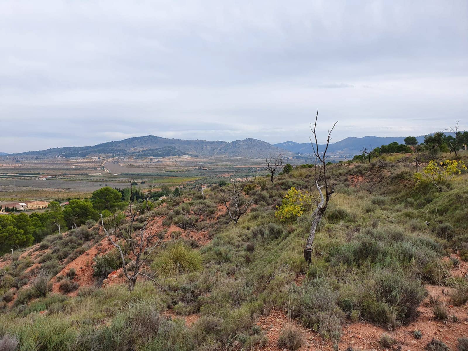 Undeveloped Land for sale in Pinoso - € 65,000 (Ref: 4878081)