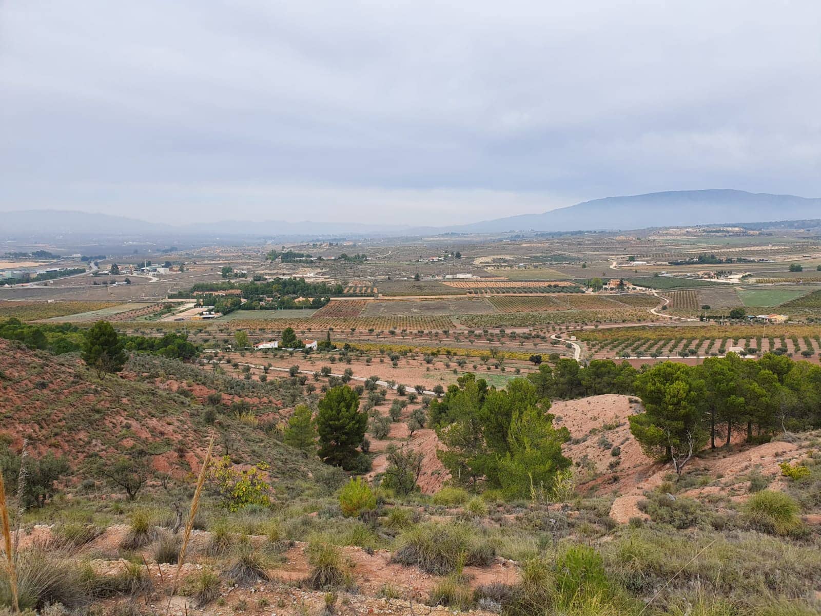 Undeveloped Land for sale in Pinoso - € 65,000 (Ref: 4878081)