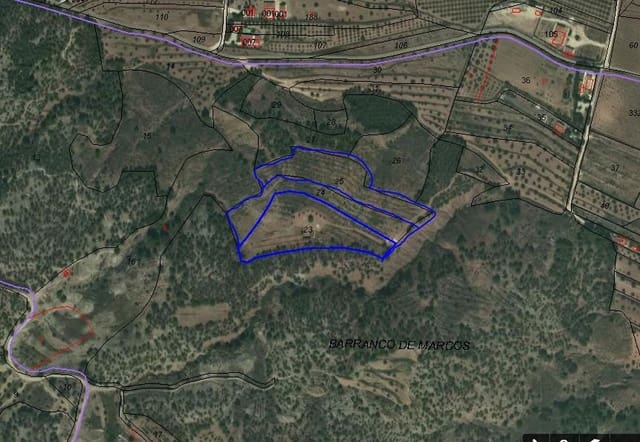 Teren niezagospodarowany na sprzedaż w Pinoso - 65 000 € (Ref: 4878081)