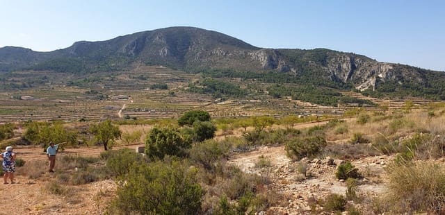 Rakentamaton maa myytävänä paikassa La Romana - 25 000 € (Ref: 4878100)