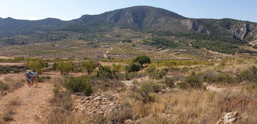 Rakentamaton maa myytävänä paikassa La Romana - 25 000 € (Ref: 4878100)