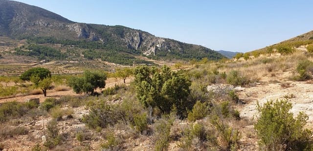 Rakentamaton maa myytävänä paikassa La Romana - 25 000 € (Ref: 4878100)