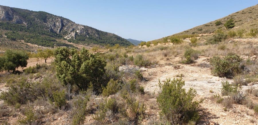 Rakentamaton maa myytävänä paikassa La Romana - 25 000 € (Ref: 4878100)