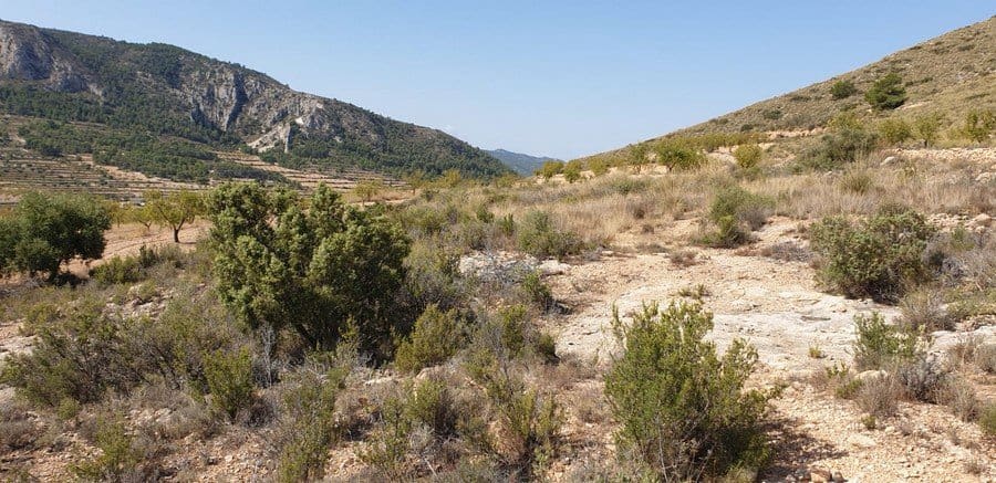Undeveloped Land for sale in La Romana - € 25,000 (Ref: 4878100)