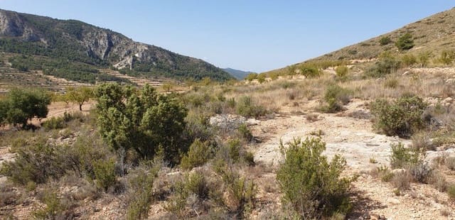 Terreno Non Edificato in vendita in La Romana - 25.000 € (Rif: 4878100)