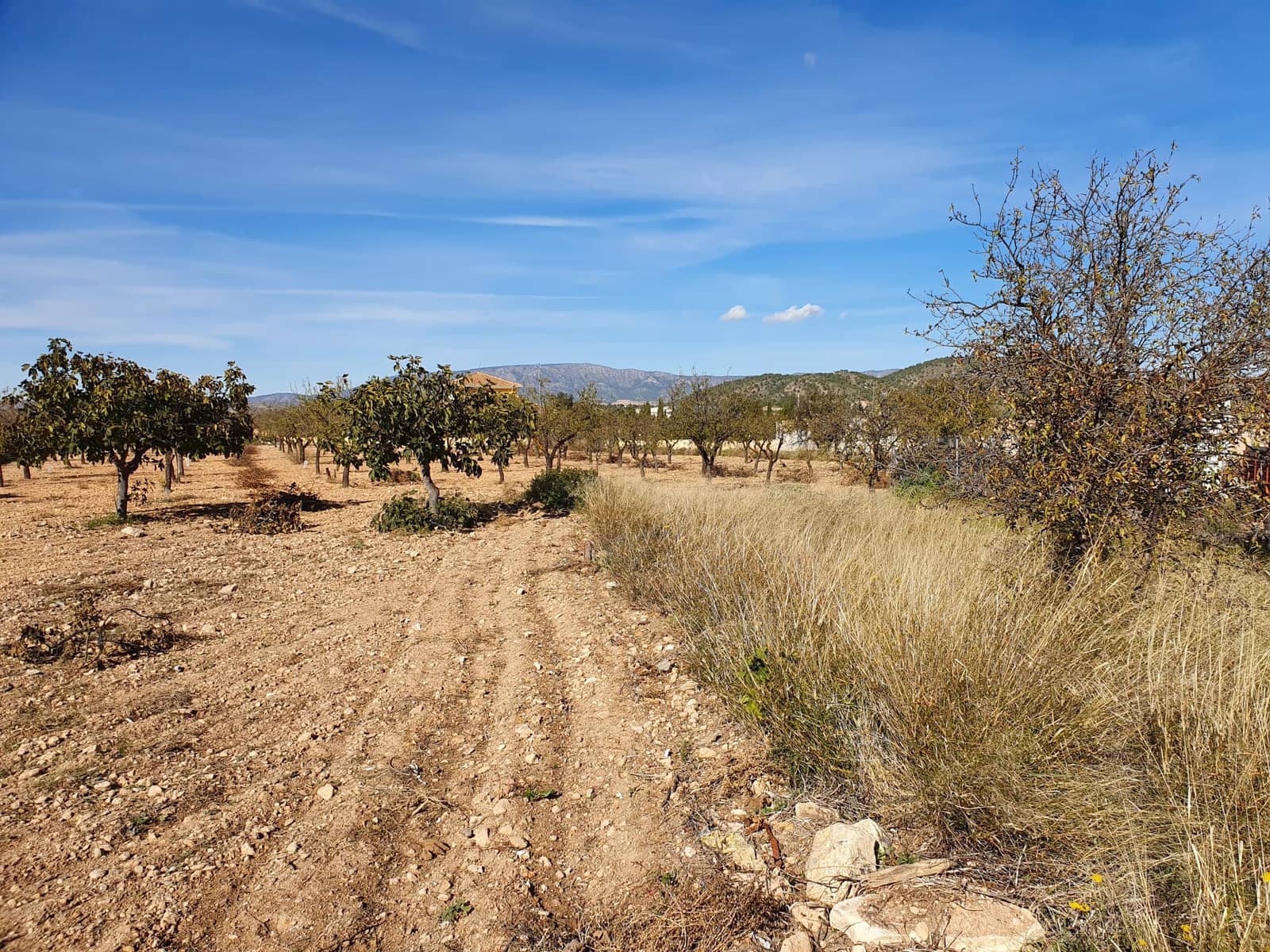 7 soverom Hus til salgs i Casas del Senor med svømmebasseng - € 199 950 (Ref: 4893067)