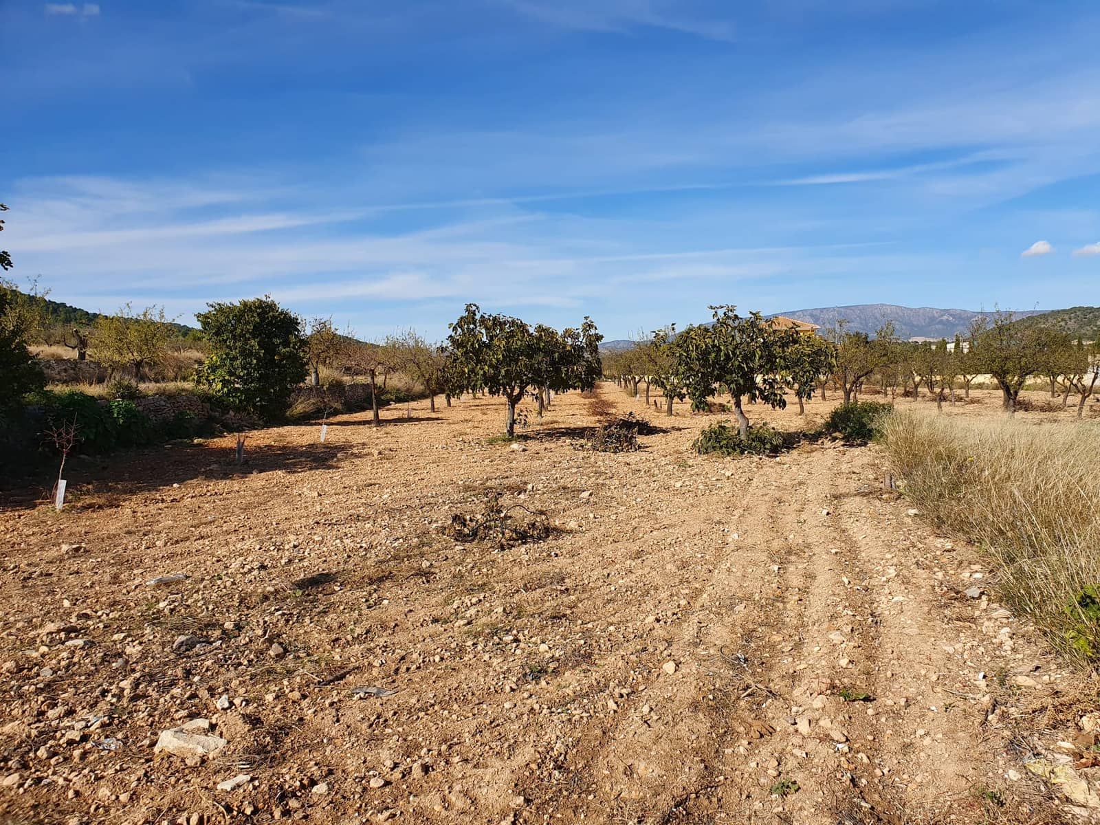 7 soverom Hus til salgs i Casas del Senor med svømmebasseng - € 199 950 (Ref: 4893067)