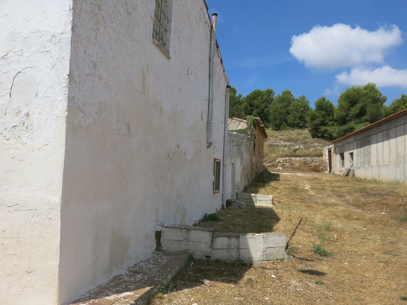 4 bedroom Finca/Country House for sale in Pinoso with pool - € 75,000 (Ref: 5421054)