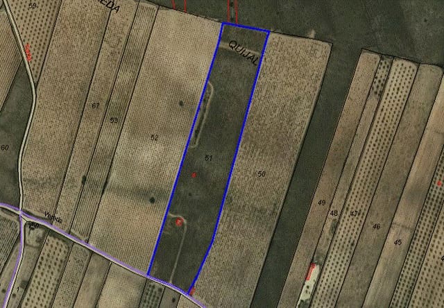 Terre non Aménagée à vendre à Pinoso - 37 000 € (Ref: 5438528)