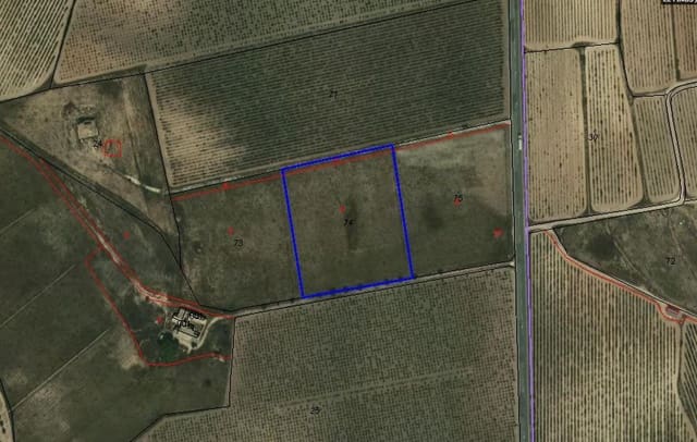 Undeveloped Land for sale in Pinoso - € 35,000 (Ref: 5602755)