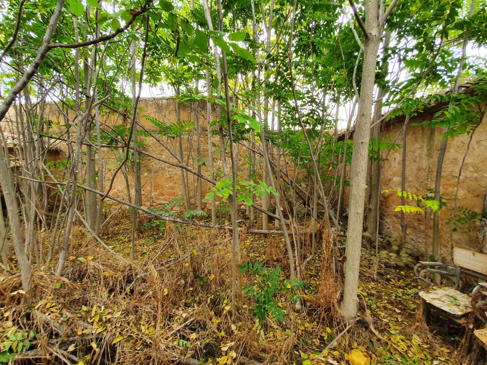 5 bedroom Finca/Country House for sale in Yecla with pool - € 165,000 (Ref: 5636033)