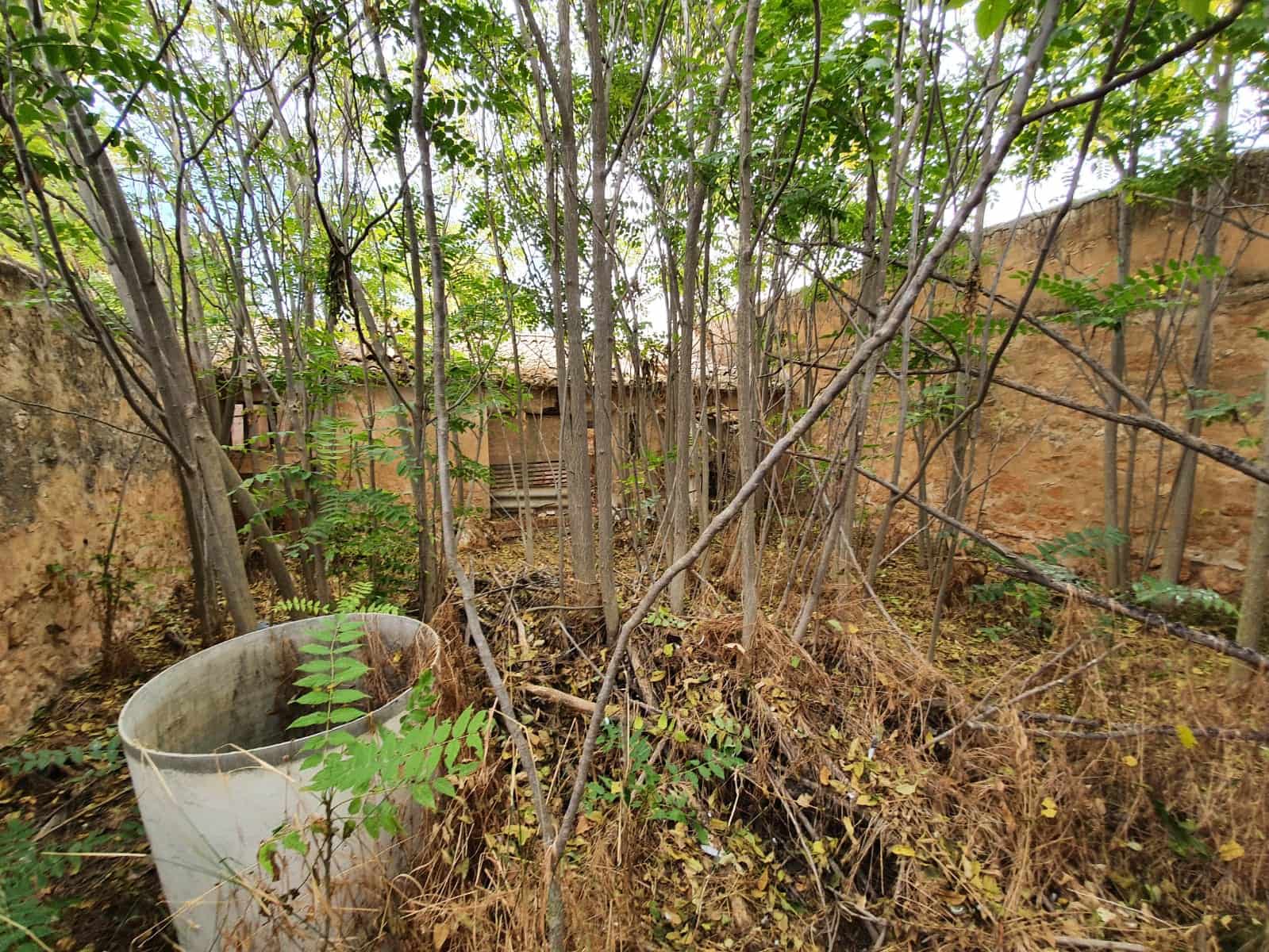 5 bedroom Finca/Country House for sale in Yecla with pool - € 165,000 (Ref: 5636033)