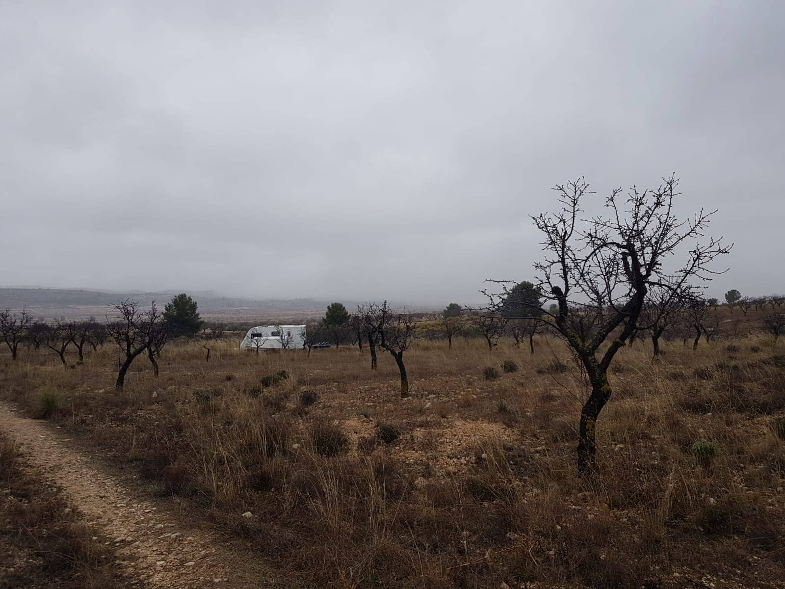 Rakentamaton maa myytävänä paikassa Jumilla - 21 500 € (Ref: 5827979)