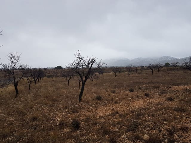 Mark till salu i Jumilla - 21 500 € (Ref: 5827979)