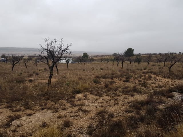 Mark till salu i Jumilla - 21 500 € (Ref: 5827979)