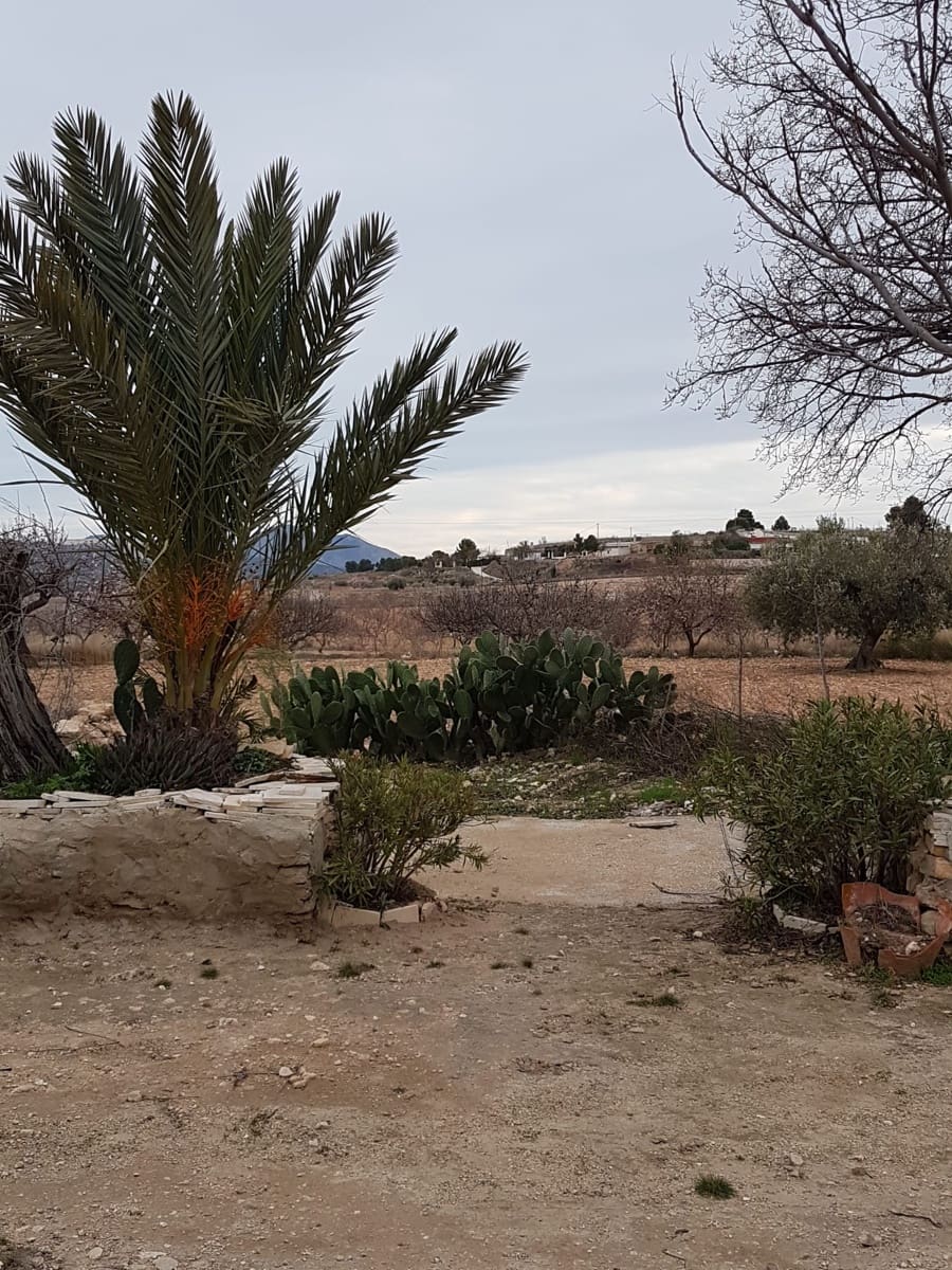 3 soverom Finca/Herregård til salgs i Pinoso med svømmebasseng - € 125 000 (Ref: 5907252)