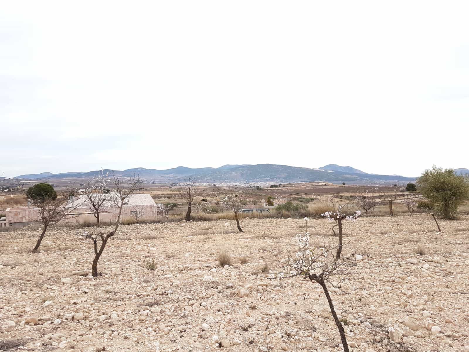 Grunde uden byggetilladelser til salg i Pinoso - € 60.000 (Ref: 5907254)