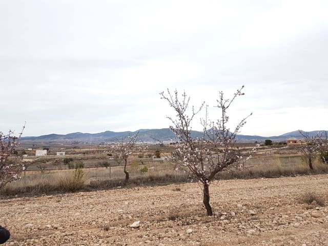 Grunde uden byggetilladelser til salg i Pinoso - € 60.000 (Ref: 5907254)