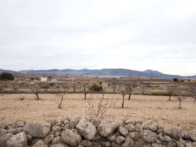 Grunde uden byggetilladelser til salg i Pinoso - € 60.000 (Ref: 5907254)