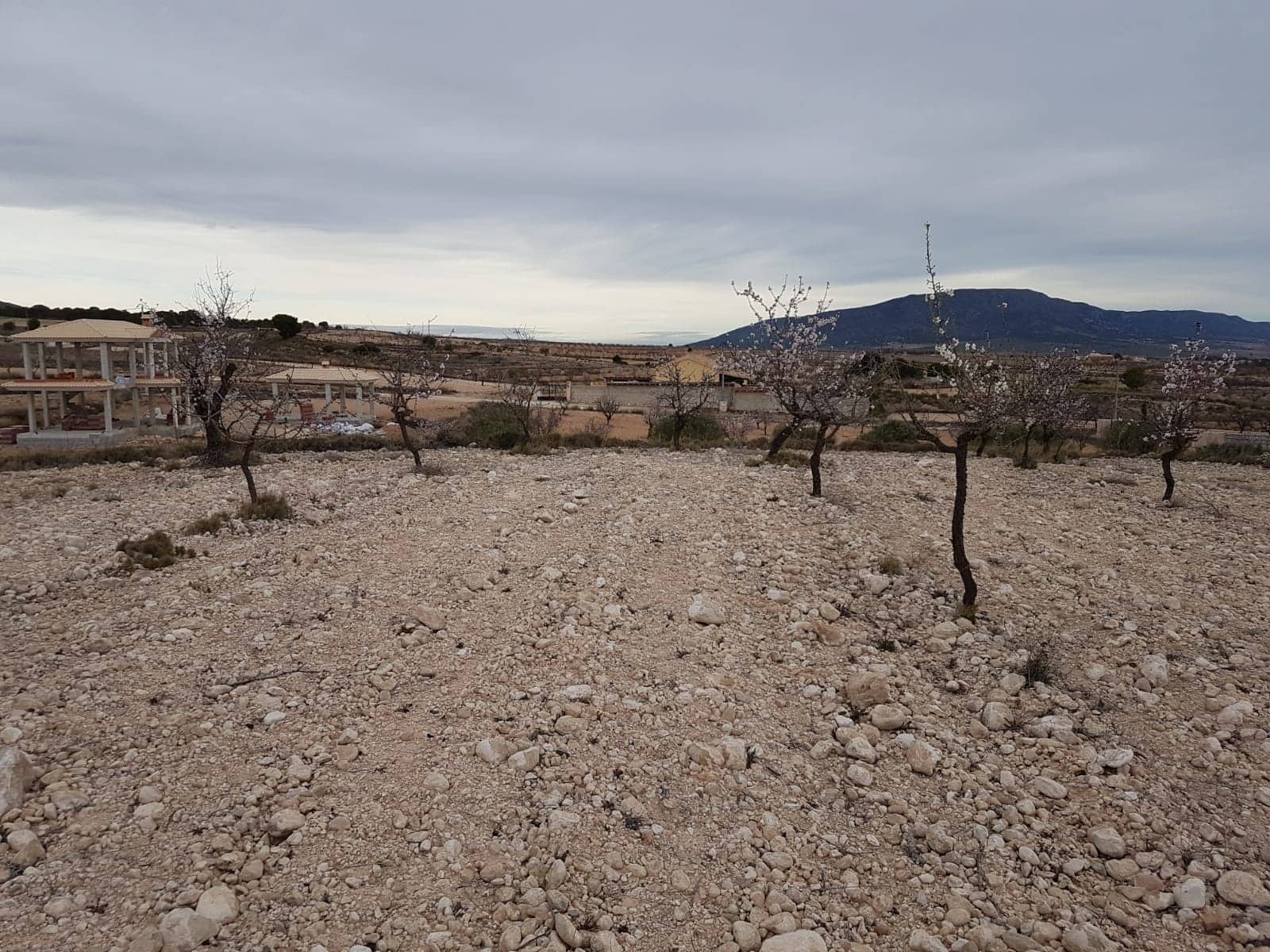 Grunde uden byggetilladelser til salg i Pinoso - € 60.000 (Ref: 5907254)