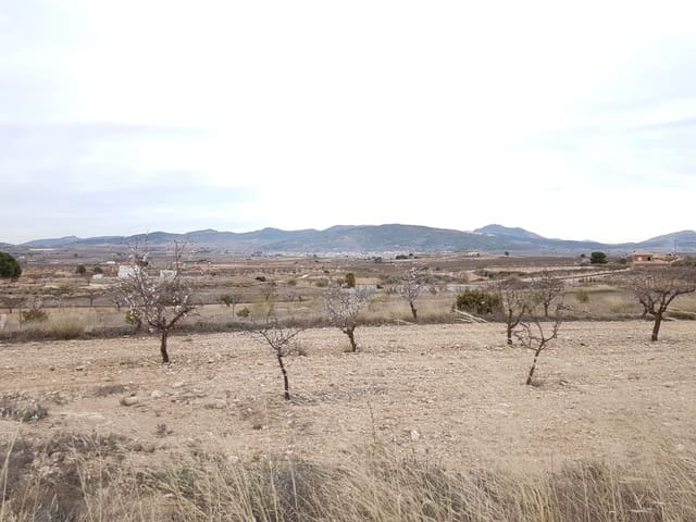 Grunde uden byggetilladelser til salg i Pinoso - € 60.000 (Ref: 5907254)