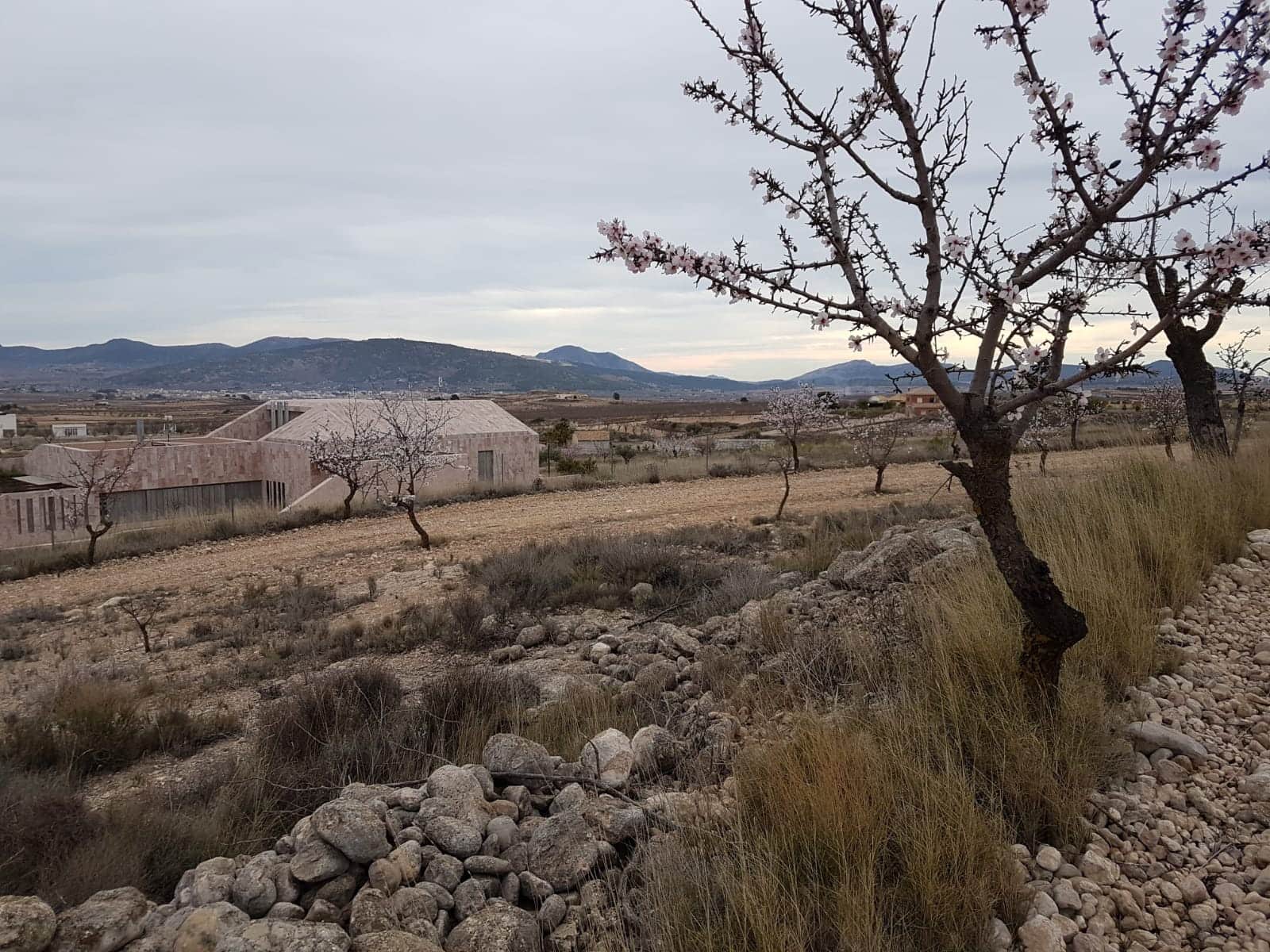 Grunde uden byggetilladelser til salg i Pinoso - € 60.000 (Ref: 5907254)