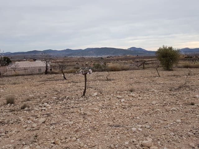 Grunde uden byggetilladelser til salg i Pinoso - € 60.000 (Ref: 5907254)