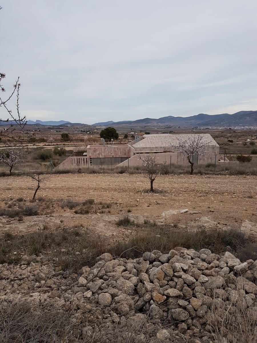 Ubebygd land til salgs i Pinoso - € 60 000 (Ref: 5907254)