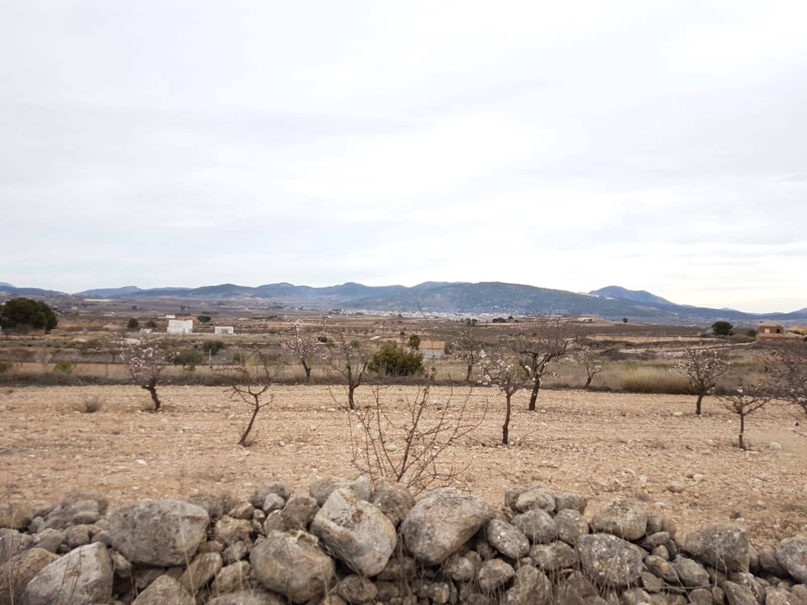 Ubebygd land til salgs i Pinoso - € 60 000 (Ref: 5907254)