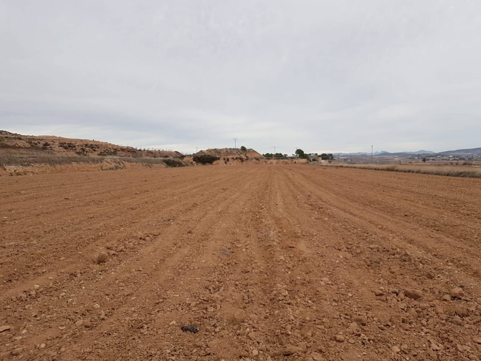 Undeveloped Land for sale in Pinoso - € 60,000 (Ref: 5907255)