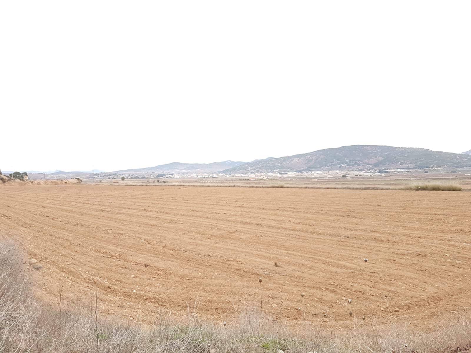 Undeveloped Land for sale in Pinoso - € 60,000 (Ref: 5907255)