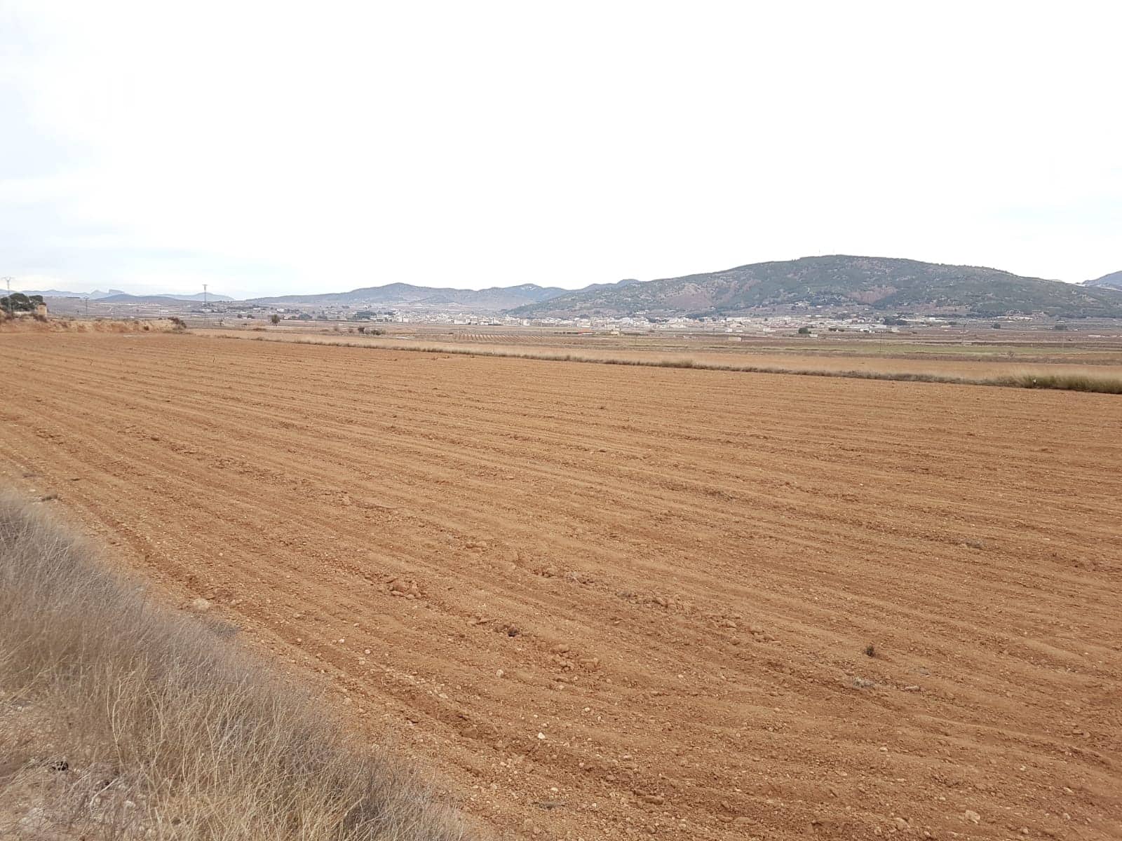 Undeveloped Land for sale in Pinoso - € 60,000 (Ref: 5907255)
