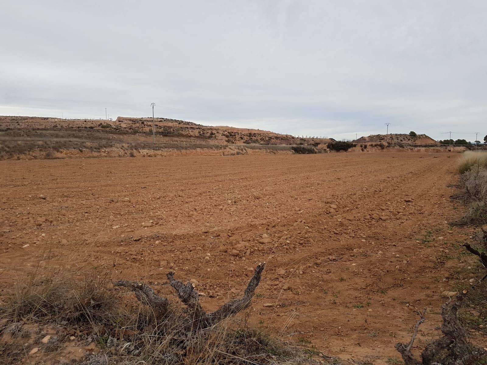 Undeveloped Land for sale in Pinoso - € 60,000 (Ref: 5907255)