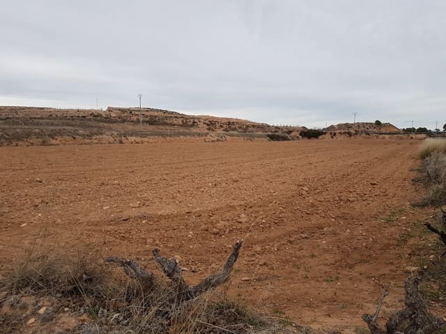 Grond te koop in Pinoso - € 60.000 (Ref: 5907255)