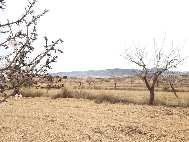 Mark till salu i Jumilla - 55 000 € (Ref: 5912733)