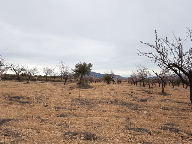 Mark till salu i Jumilla - 55 000 € (Ref: 5912733)
