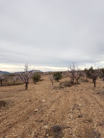 Mark till salu i Jumilla - 55 000 € (Ref: 5912733)