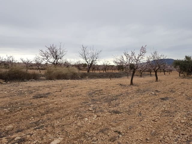 Mark till salu i Jumilla - 55 000 € (Ref: 5912733)