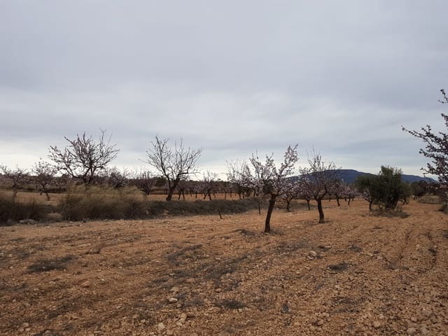 Mark till salu i Jumilla - 55 000 € (Ref: 5912733)