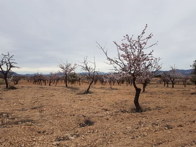 Mark till salu i Jumilla - 55 000 € (Ref: 5912733)